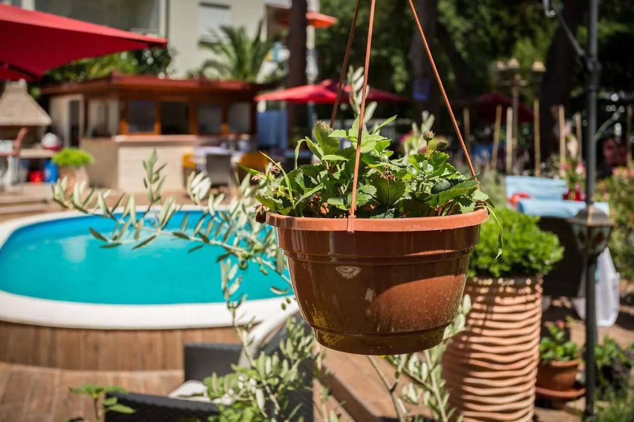 Apartments Dora Medulin Croatia